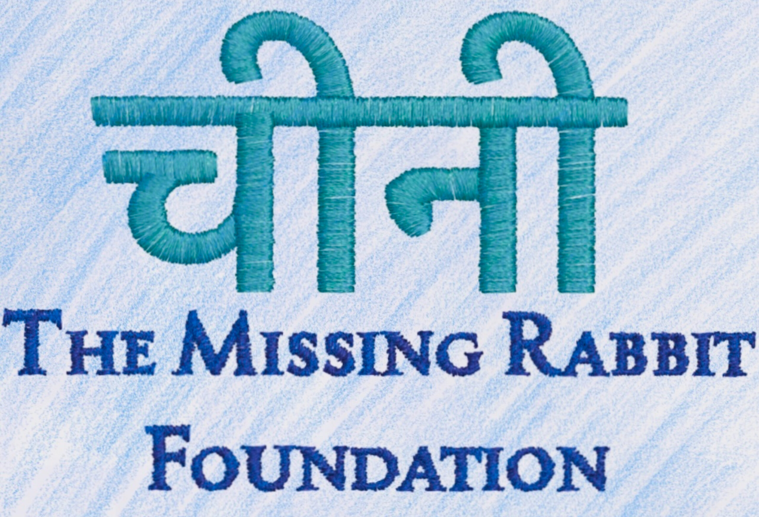 Cheeni The missing rabbit Foundation